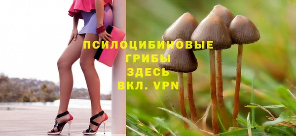 хмурый Балахна
