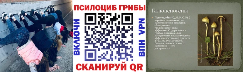 наркошоп  Красноуральск  Галлюциногенные грибы ЛСД 
